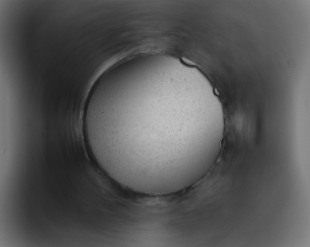 X0000092090100200710031201