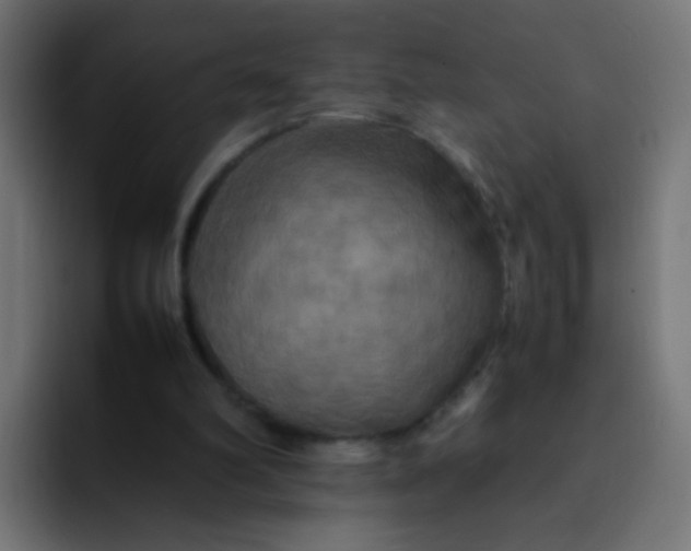 X0000092090102200710031201