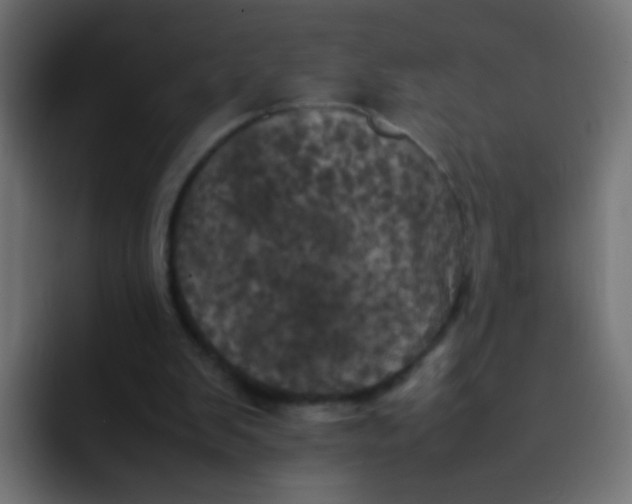 X0000092090103200710031201