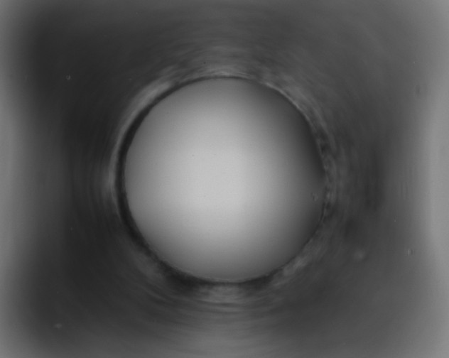 X0000092090104200710031201