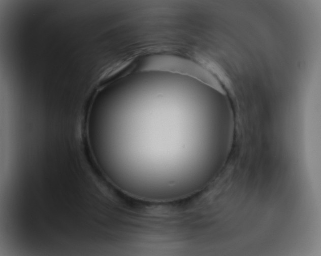 X0000092090105200710031201