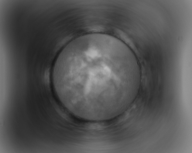 X0000092090106200710031201