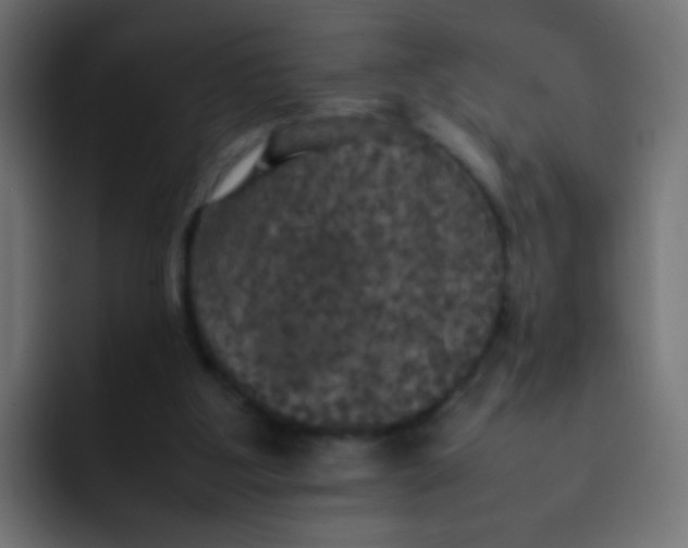 X0000092090107200710031201