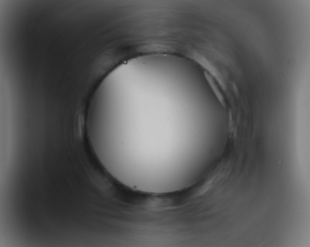 X0000092090109200710031201