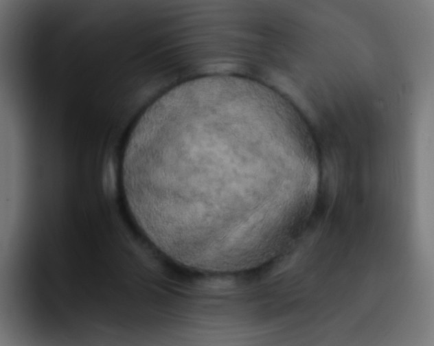 X0000092090110200710031201