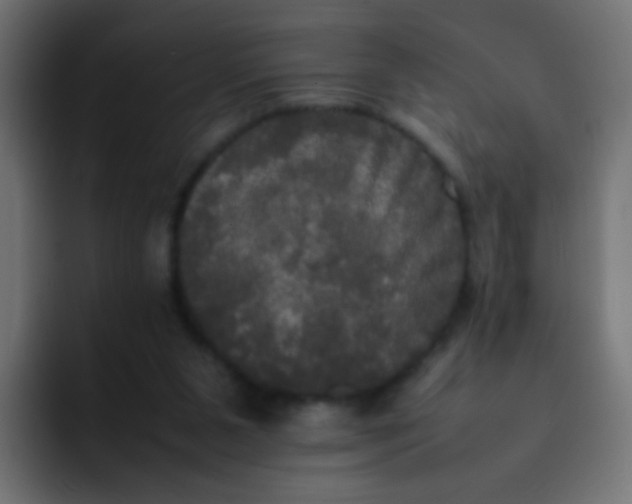 X0000092090111200710031201