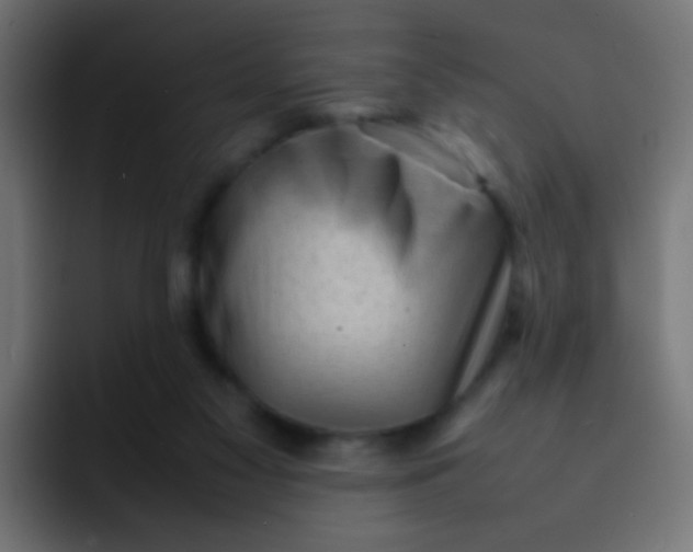 X0000092090117200710031201