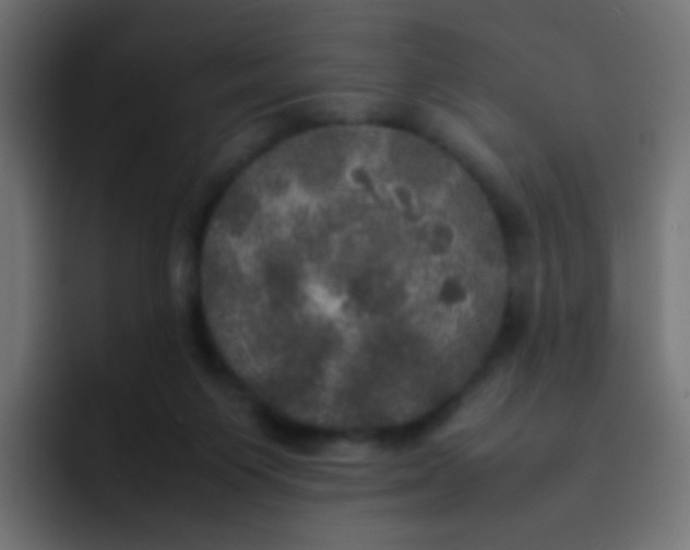 X0000092090119200710031201