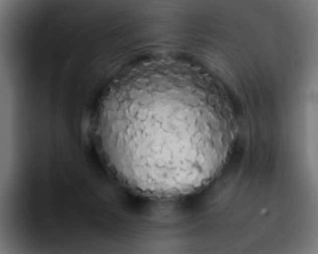 X0000092090127200710031201