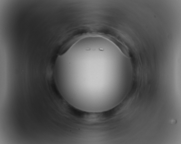 X0000092090129200710031201