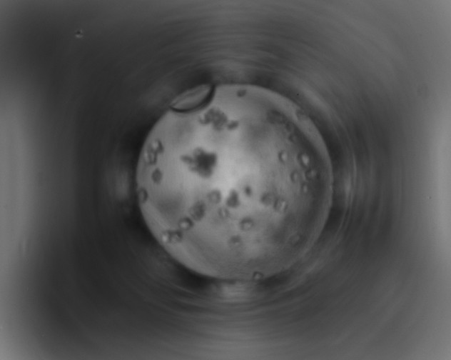 X0000092090134200710031201