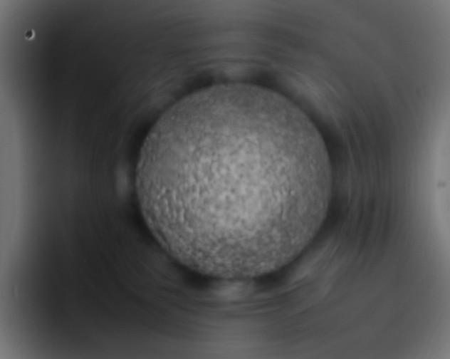 X0000092090135200710031201