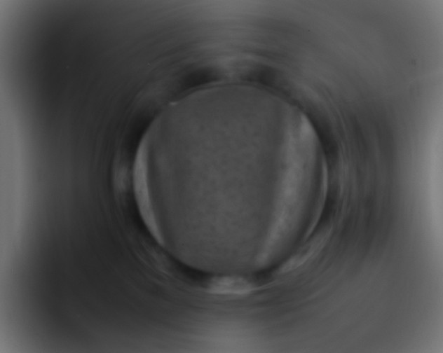 X0000092090137200710031201