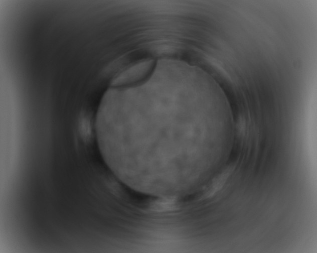 X0000092090138200710031201