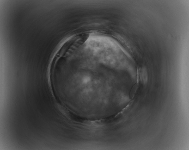 X0000092090147200710031200