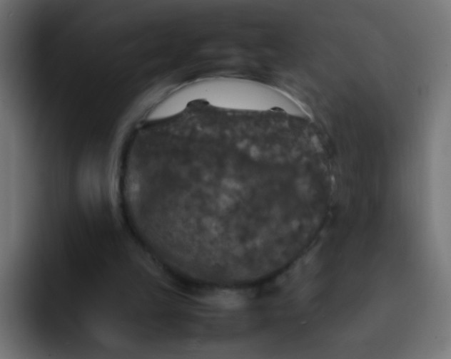 X0000092090149200710031200