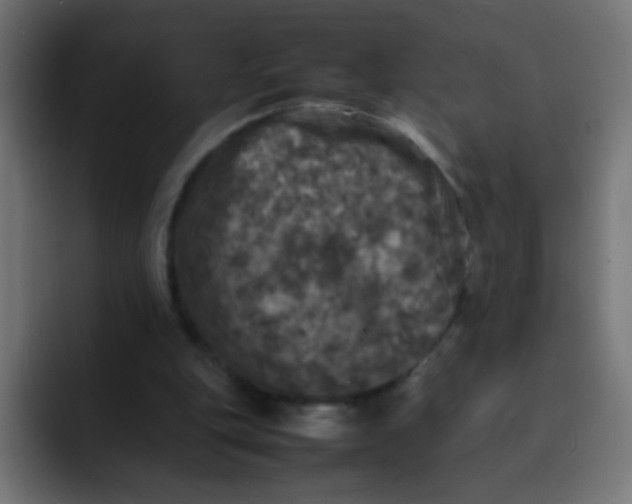 X0000092090151200710031200