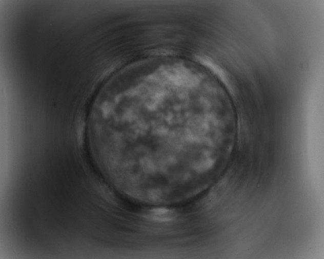 X0000092090153200710031200