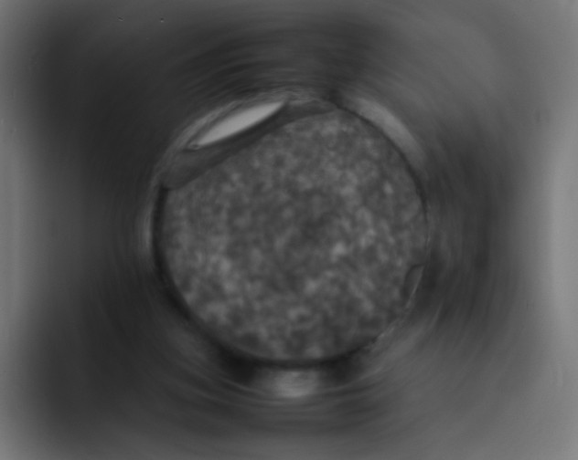 X0000092090155200710031200