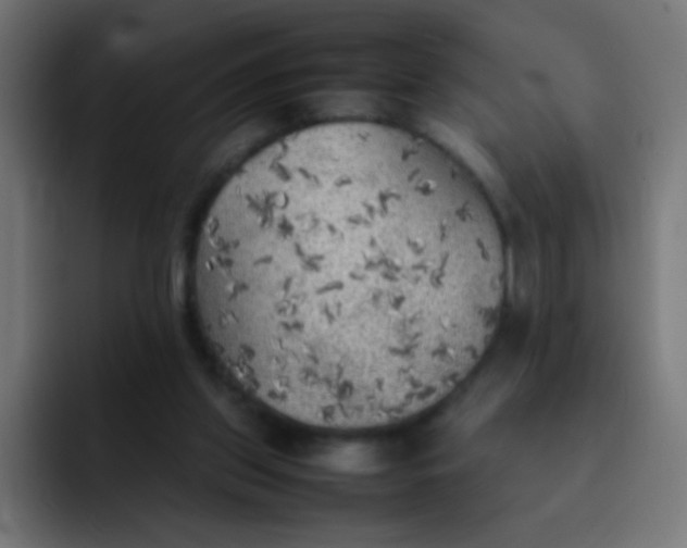 X0000092090157200710031200