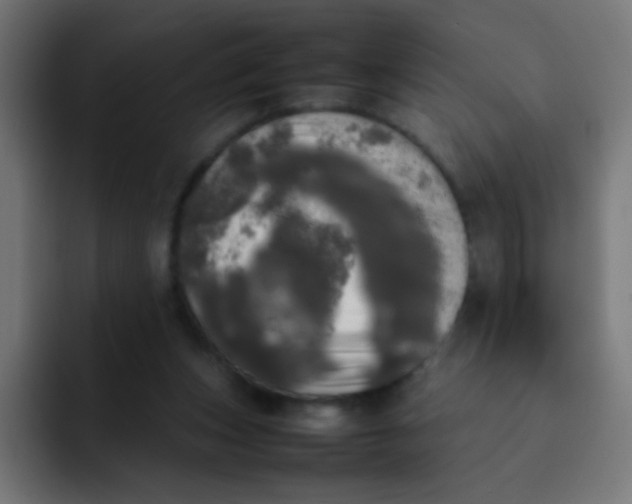 X0000092090159200710031201