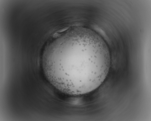 X0000092090161200710031201