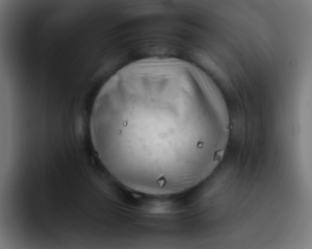 X0000092090165200710031201