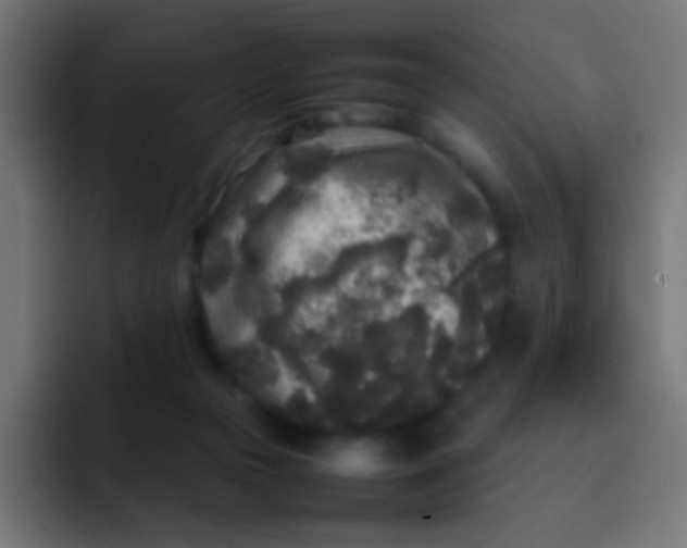 X0000092090169200710031201