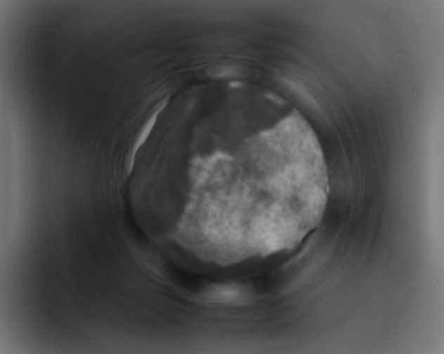 X0000092090171200710031201