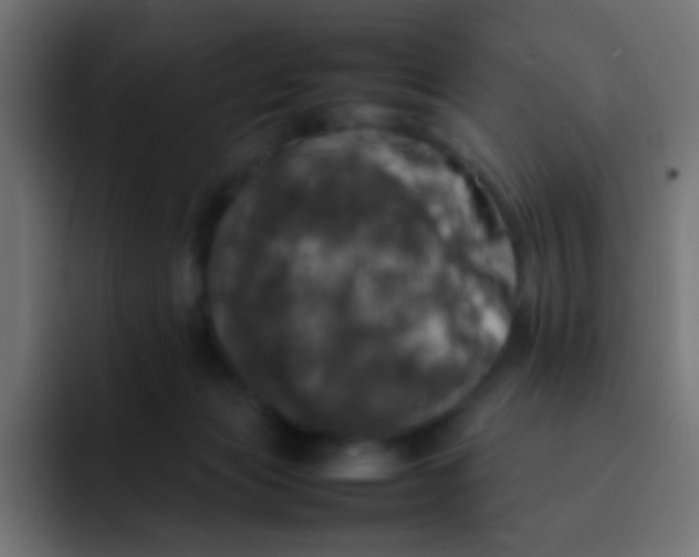 X0000092090173200710031201