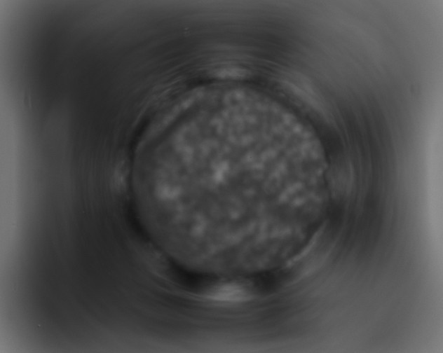 X0000092090175200710031201