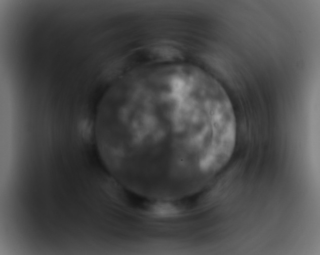 X0000092090177200710031201