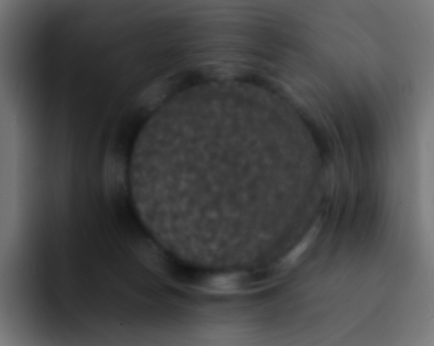 X0000092090178200710031201