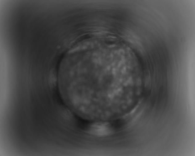 X0000092090179200710031201