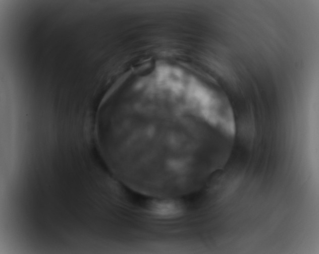 X0000092090181200710031201