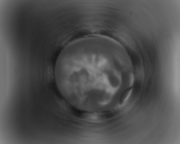 X0000092090182200710031201