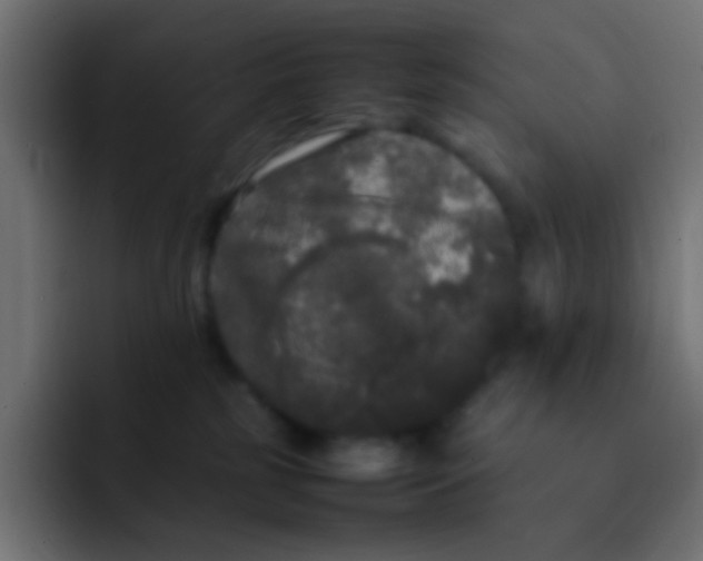 X0000092090185200710031201