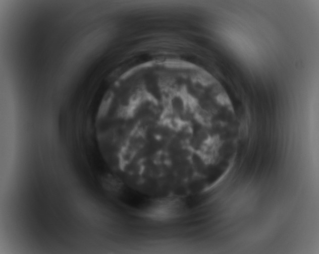 X0000092090191200710031201