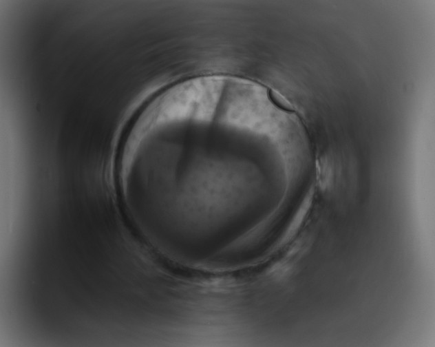 X0000092090196200710031200