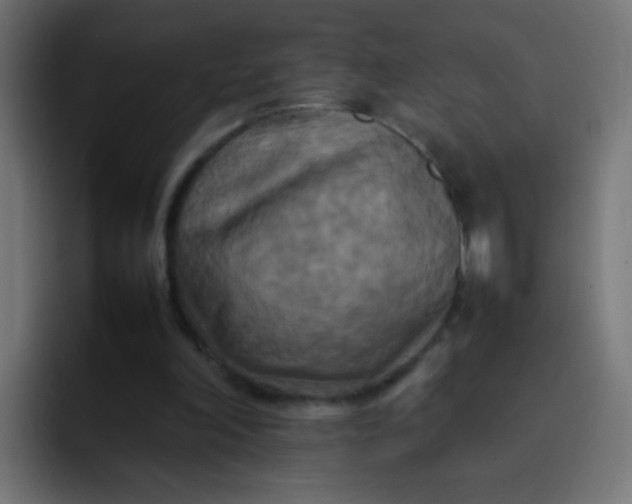 X0000092090198200710031200