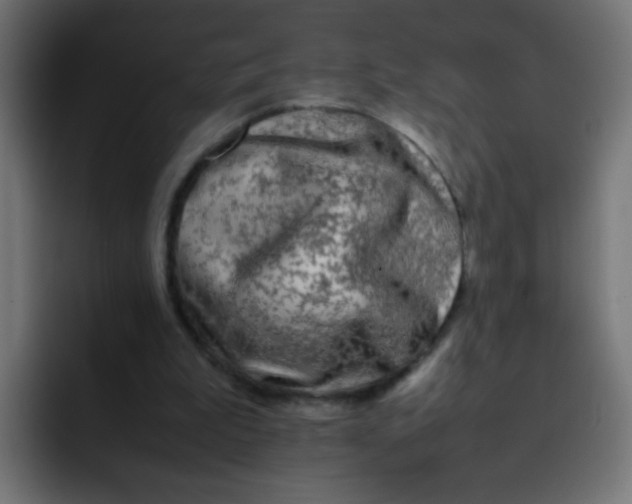 X0000092090199200710031200