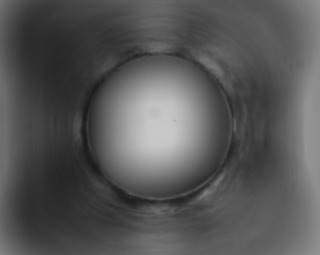 X0000092090201200710031200