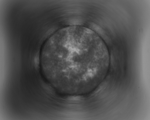 X0000092090202200710031200