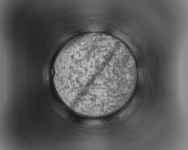 X0000092090203200710031200