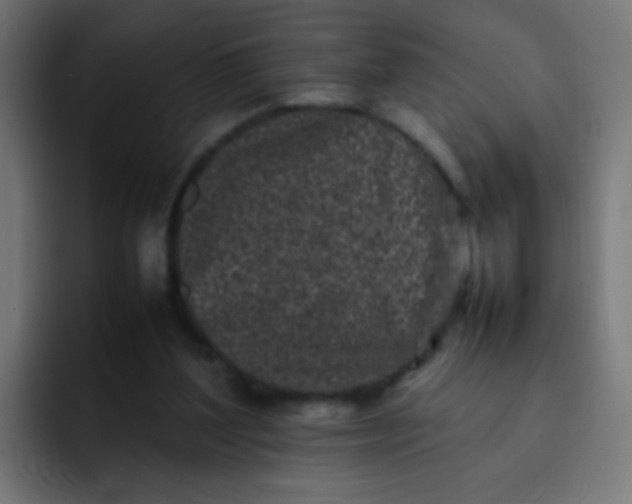 X0000092090204200710031200