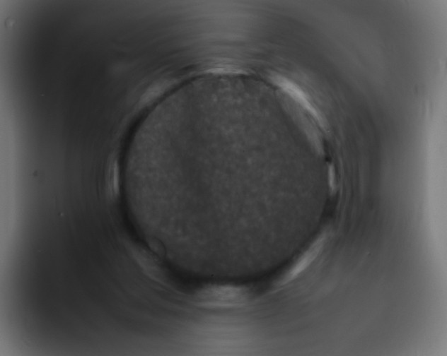 X0000092090205200710031200