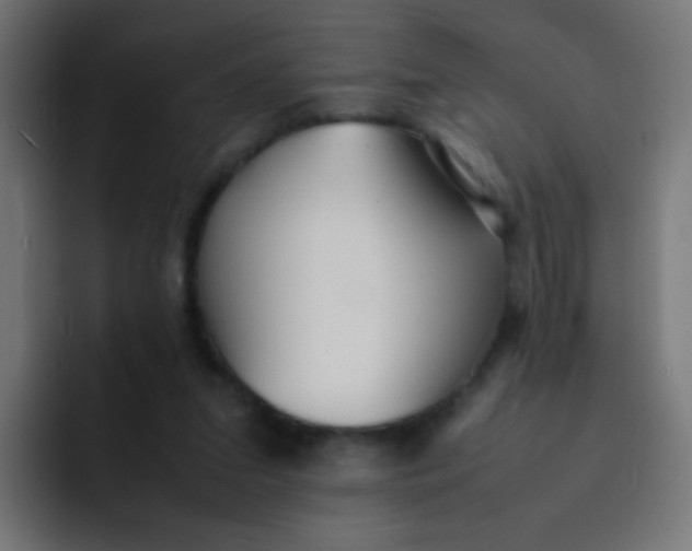 X0000092090207200710031200