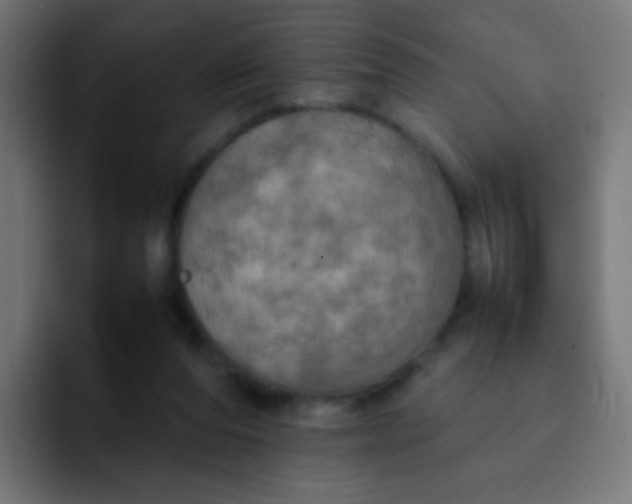 X0000092090208200710031200