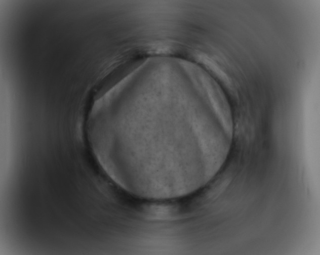 X0000092090209200710031200