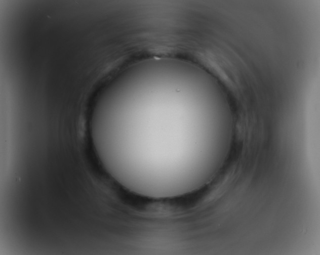 X0000092090211200710031200